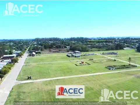 Venta - Terreno  - Máximo Paz -