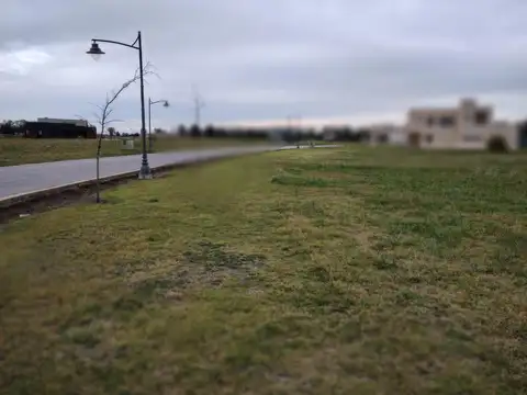 Área 60 - La Reserva Escondida