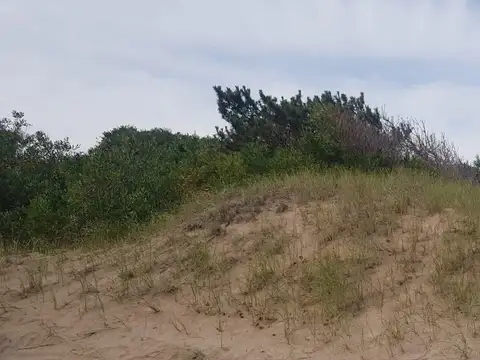 Terreno en Venta 48,54  mts Frente