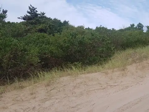 Terreno en Venta 20  mts Fondo