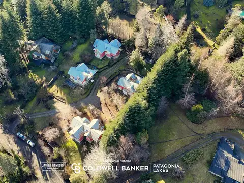 los pioneros  al 300