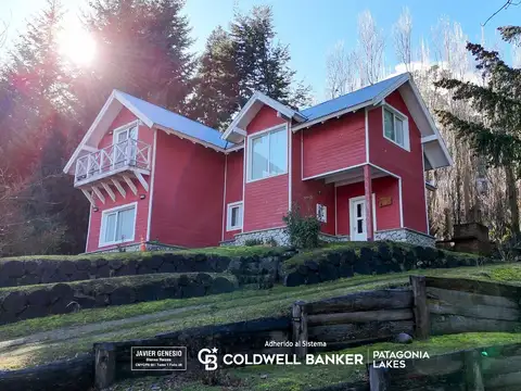 los pioneros  al 300