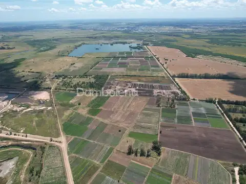 Acceso a Puerto Pilar 100