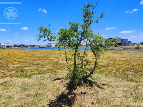 Gaboto Lote a laguna