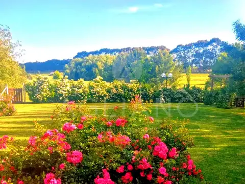 Av. Jorge Newbery al 5000