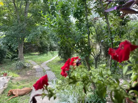 524 entre 16 y 17 2100, Piso 0