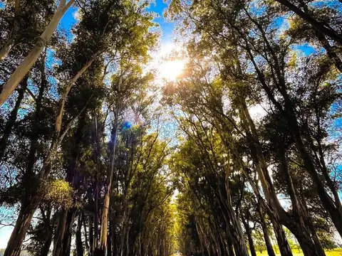 Terreno en Venta de 2000,0 m2