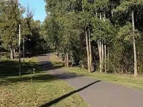 Terreno en  Campo Timbo