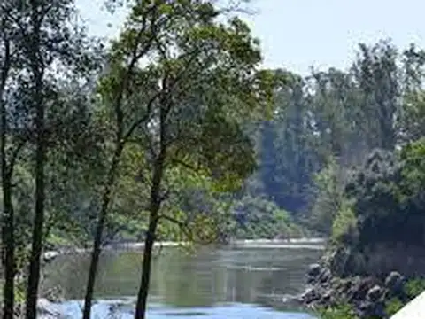 Terreno en  Campo Timbo