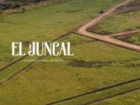 El Juncal - 177 y 36