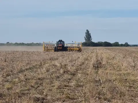 calle publica, Rafael Garcia, Córdoba