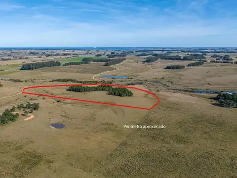 Lote de 11 has. en Altos de Jose Ignacio 100