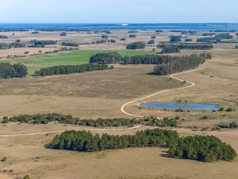 Chacra marítima de 11 hectáreas en la mejor loma de Altos de José Ignacio