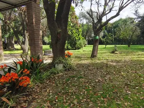 Manuel Belgrano 1200