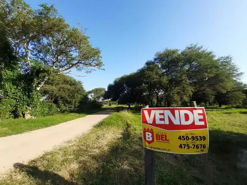 Calle Pública S/N 1