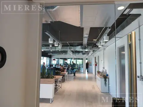 Debenedetti  al 3800 - Oficina 300 mts2 en Alquiler Sobre Colectora Panamericana - Olivos