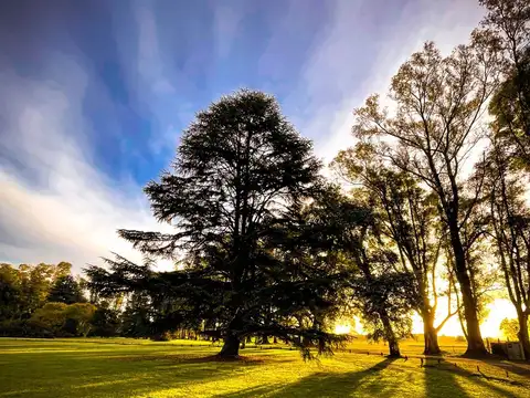 Terreno en Venta de 2054,0 m2