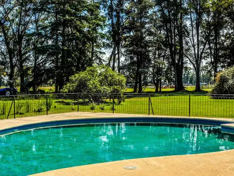 Bernardino Rivadavia