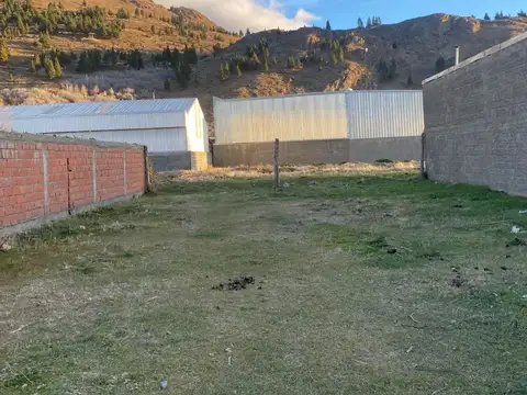 Pintor R Antunez 800