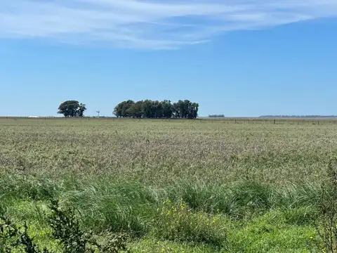 Campo en venta en Tres Arroyos