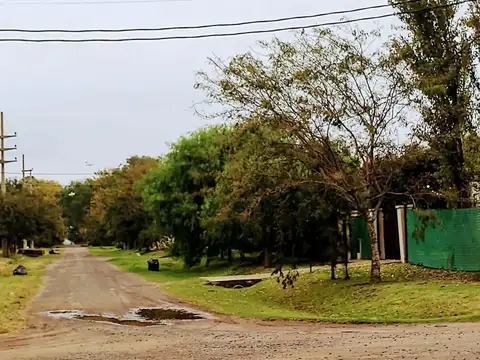 Coronel Lavalle 1389