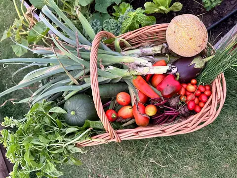 Terreno en Venta de 2324,0 m2