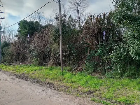10.200 mts Terreno - Ruta Provincial 25 100