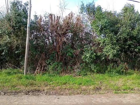 10.200 mts Terreno - Ruta Provincial 25 100