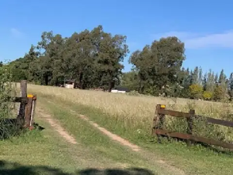 Campo en Venta de 2,70  ha