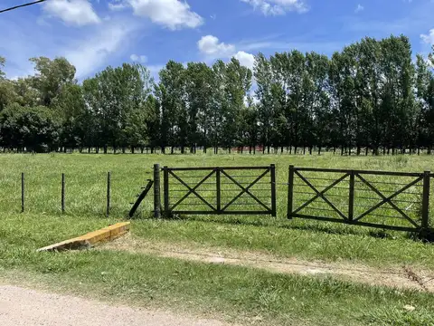 Terreno en Venta 160  mts Fondo