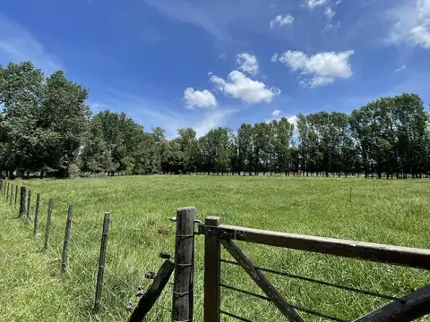 Terreno en Venta 68  mts Frente