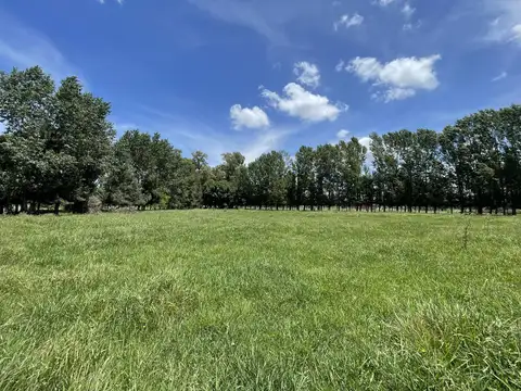 Terreno en  Venta en Chacras de Abbott, San Miguel del Monte