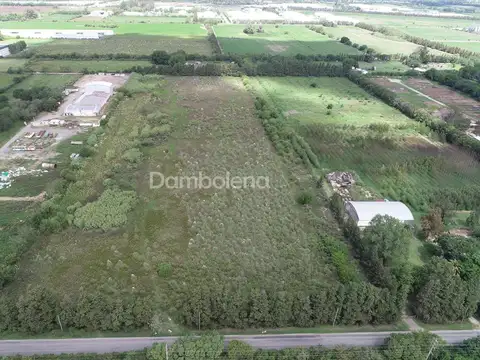 Camino de la Costa Brava 100