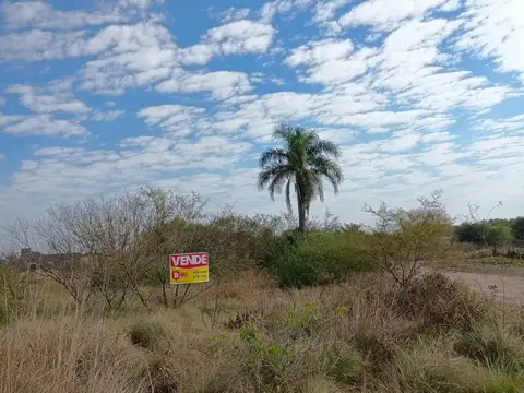 Terreno en Venta en Colonia Benitez, USD 4.000