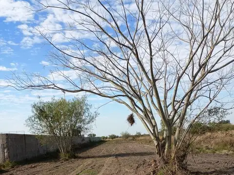 Terreno en Venta de 500,0 m2