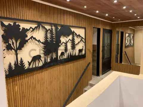 ALQUILER LOCAL COMERCIAL SAN MARTIN DE LOS ANDES . CASCO CENTRICO