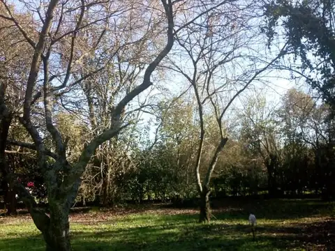 Quinta en Venta de 2 dormitorios