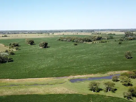 Campo en Venta Agrícola