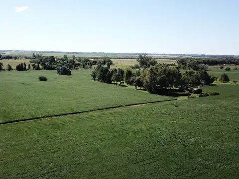 Campo en Venta de 60  ha