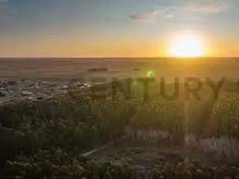 Campo en Venta con Alambrado