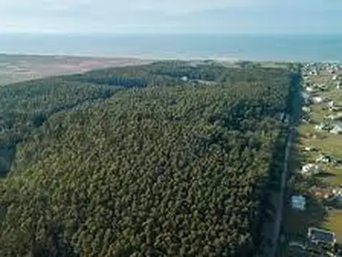 Únicas Hectáreas con Acceso Exclusivo al Mar y a Ruta 11