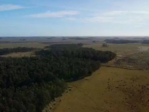 Campo en Venta de 336  ha