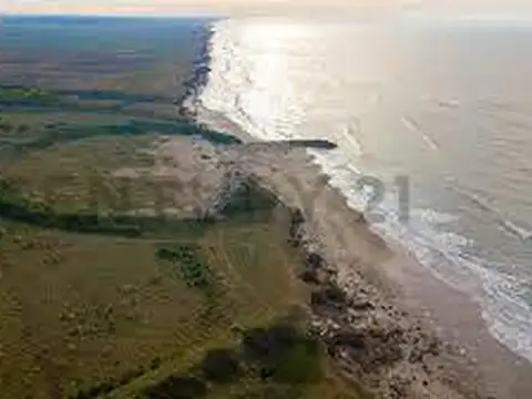 Campo en Venta de 336  ha