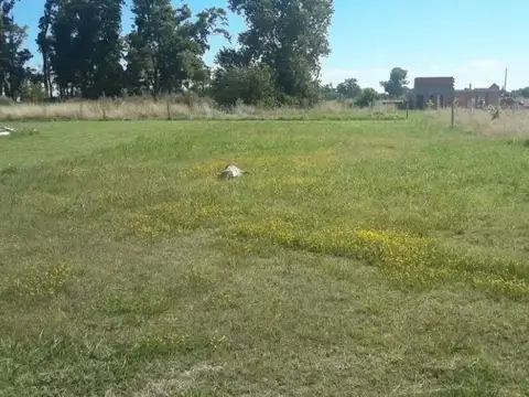 Terreno en Venta en Samborombon, USD 25.000