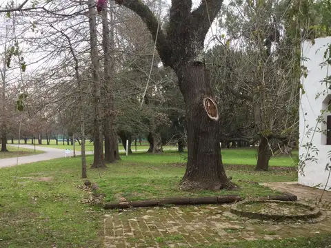 Terreno en Venta en Campo Grande, USD 160.000