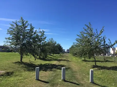 Terreno en Venta en Laguna Azul, USD 21.900