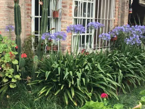 Terreno en Venta 30  mts Frente