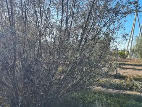 Terreno en Venta de 5757,0 m2