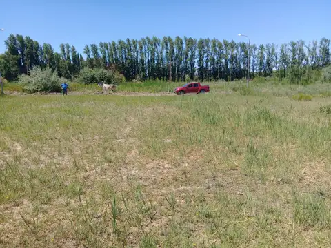 Terreno en Venta 25  mts Frente