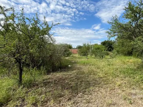 Terreno en Venta 40  mts Fondo